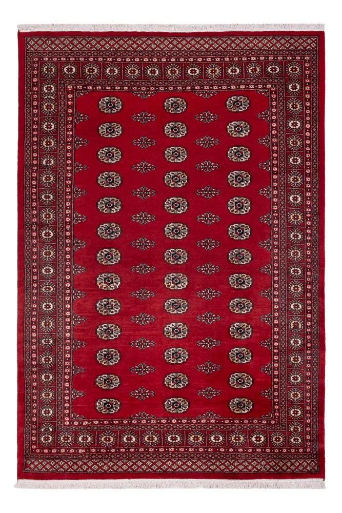 Pakistan Teppich 164x239cm - Orientteppich