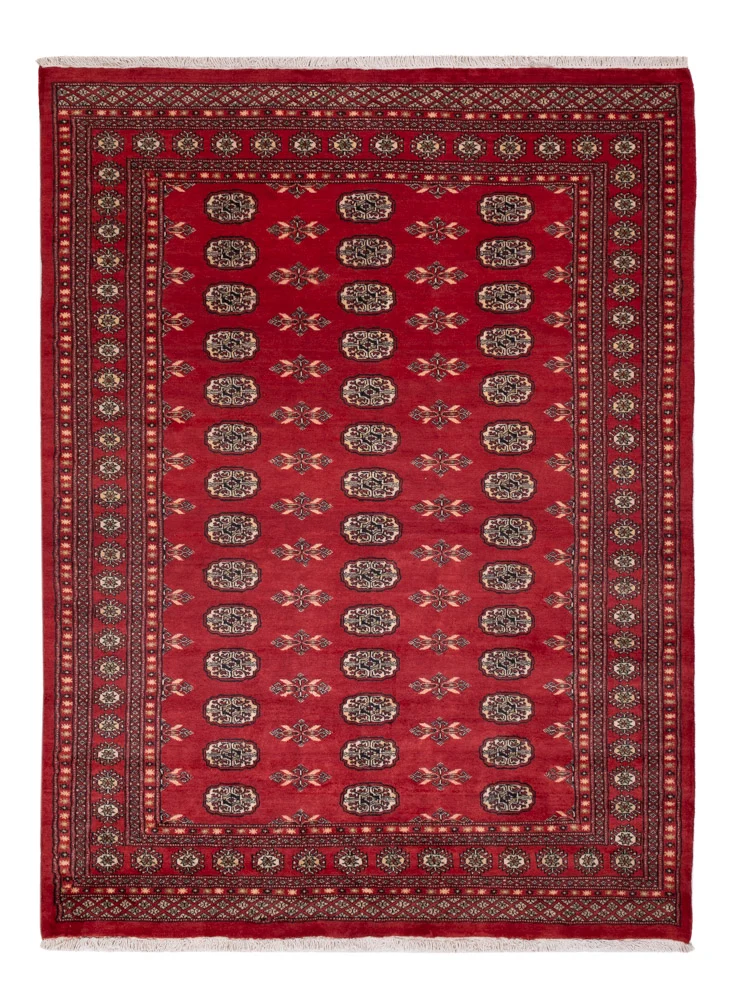 Pakistan Teppich 172x231cm - Orientteppich