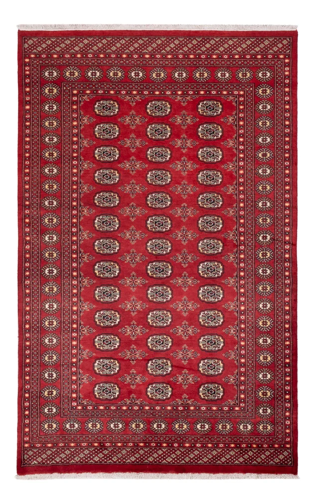 Pakistan Teppich 159x250cm - Orientteppich