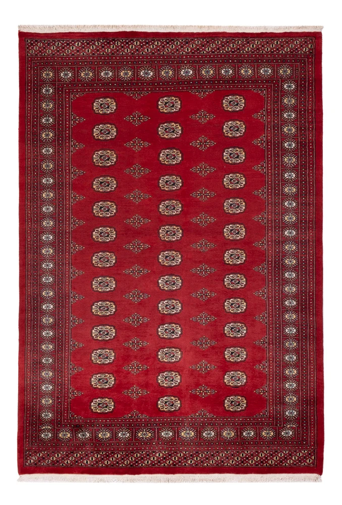 Pakistan Teppich 165x235cm - Orientteppich