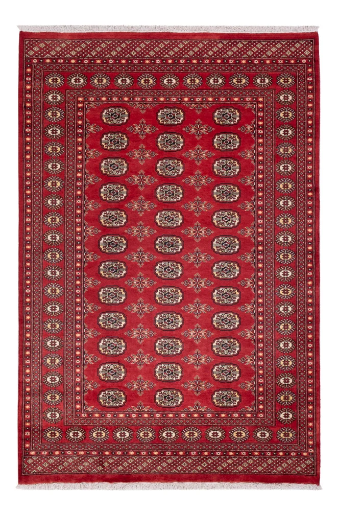 Pakistan Teppich 158x237cm - Orientteppich