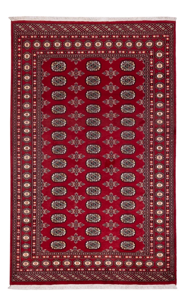 Pakistan Teppich 154x244cm - Orientteppich
