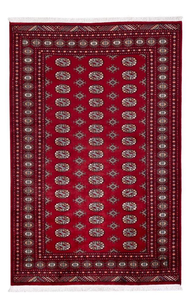 Pakistan Teppich 154x241cm - Orientteppich