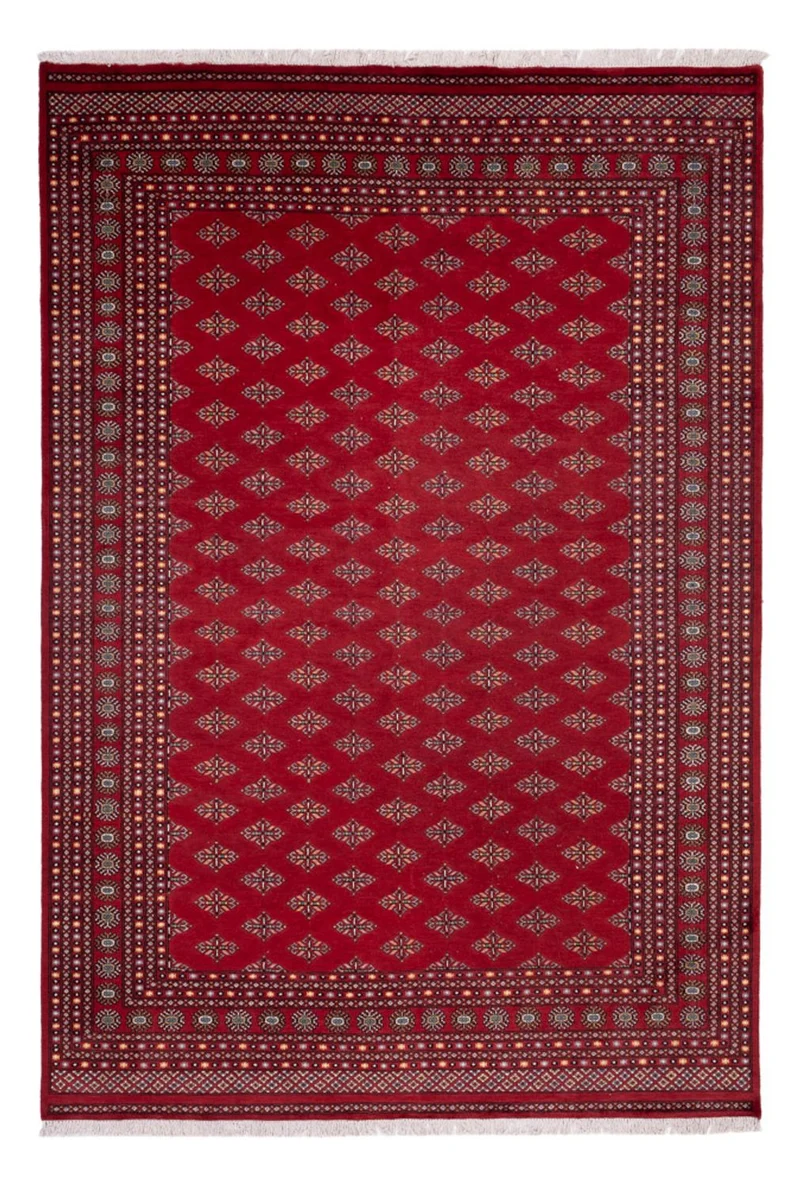 Buchara Teppich 249x365cm - Orientteppich