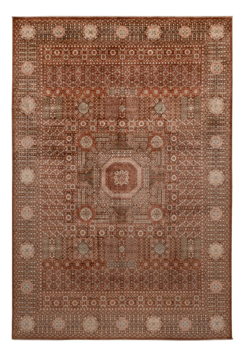 Ariana Teppich 247x357cm - Orientteppich