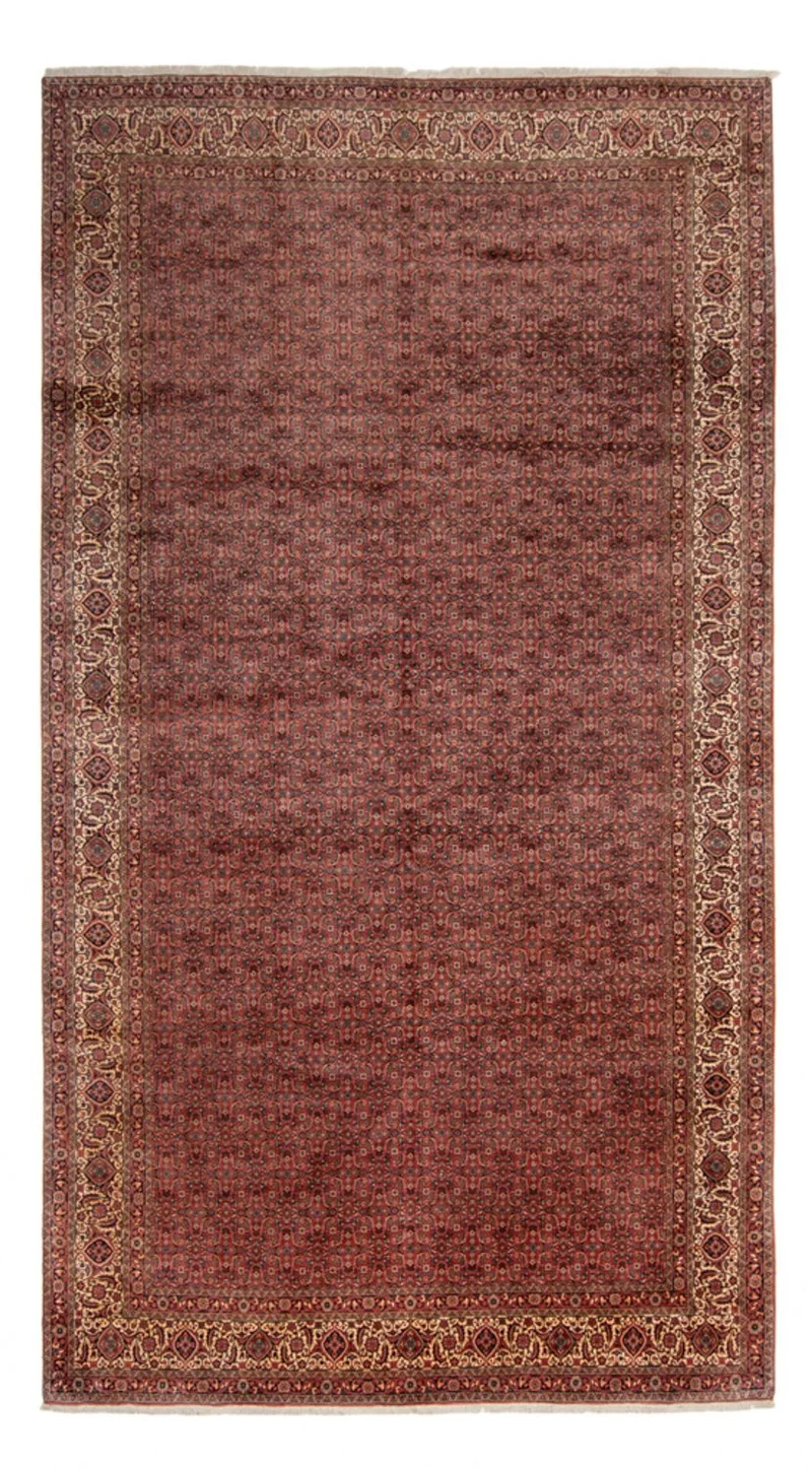 Bidjar - Takab Teppich 256x482cm - Perserteppich
