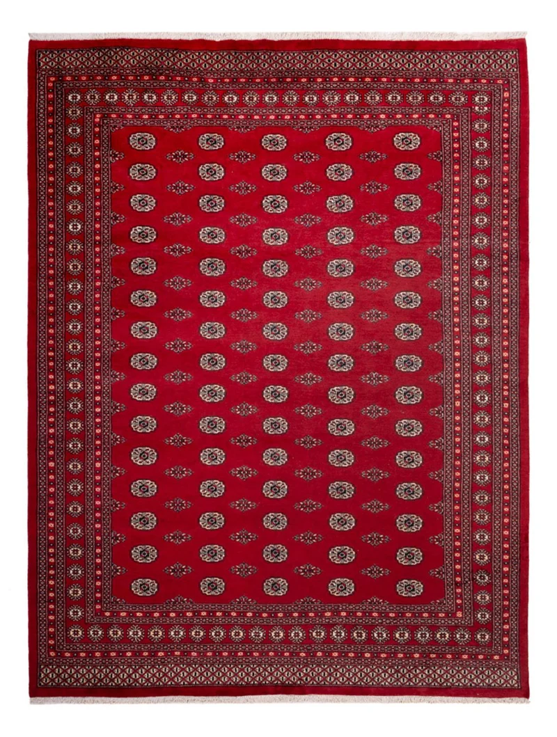 Buchara Teppich 248x323cm - Orientteppich