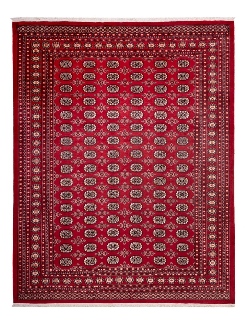 Afghan Teppich - Buchara - 248 x 322 cm - rot
