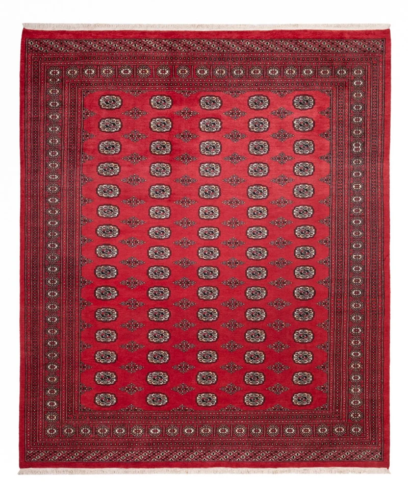 Buchara Teppich 246x305cm - Orientteppich