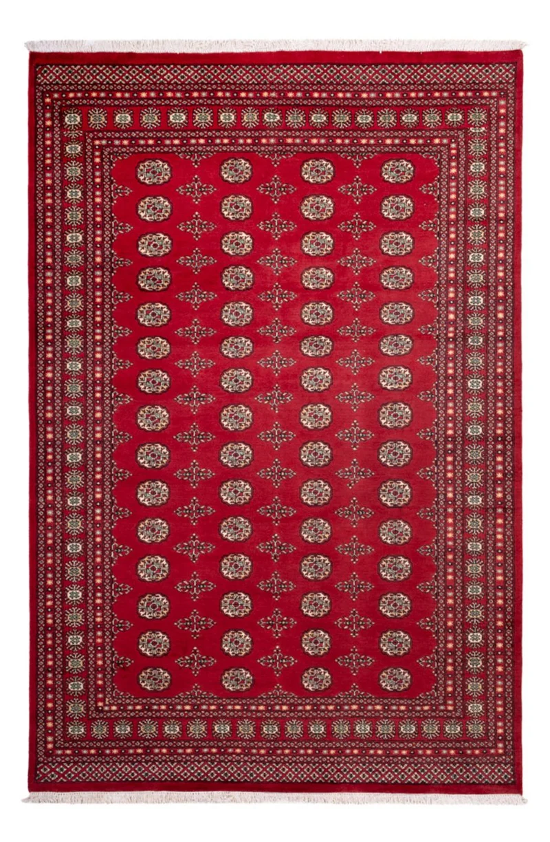 Afghan Teppich - Buchara - 210 x 318 cm - rot