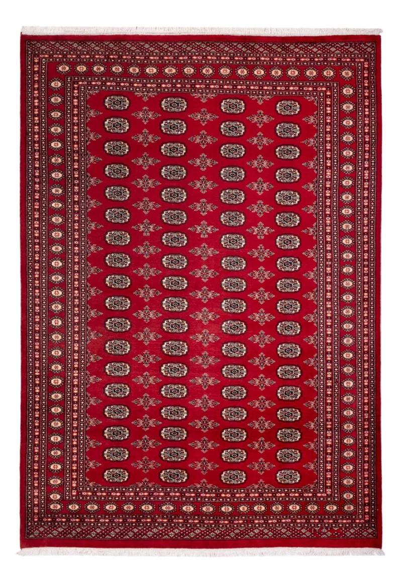 Buchara Teppich 213x297cm - Orientteppich