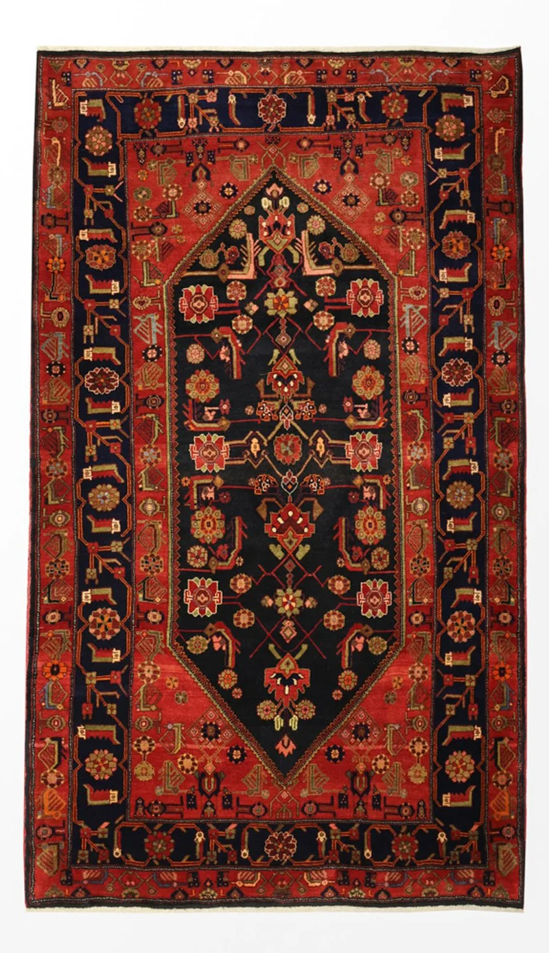 Kolyai Teppich 174x294cm - Perserteppich