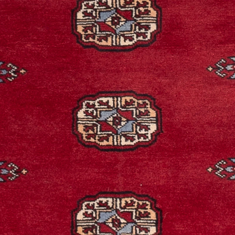 Pakistan Teppich 77x262cm - Orientteppich