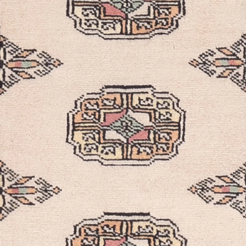 Pakistan Teppich 77x248cm - Orientteppich