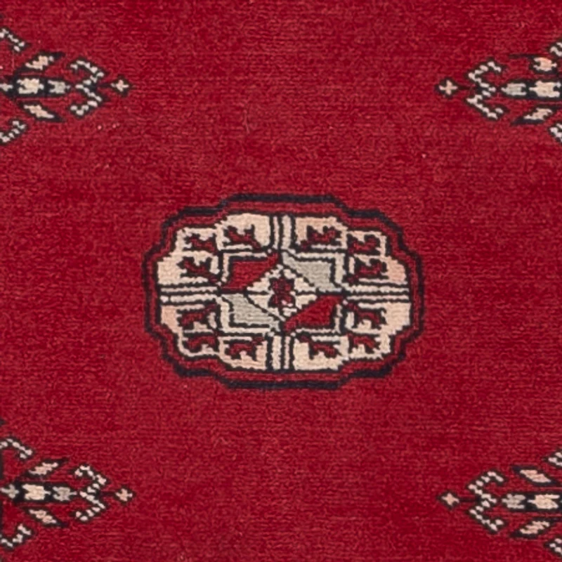 Pakistan Teppich 75x257cm - Orientteppich