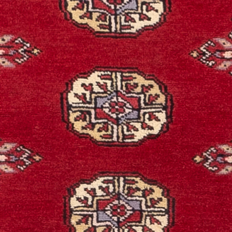Pakistan Teppich 77x246cm - Orientteppich