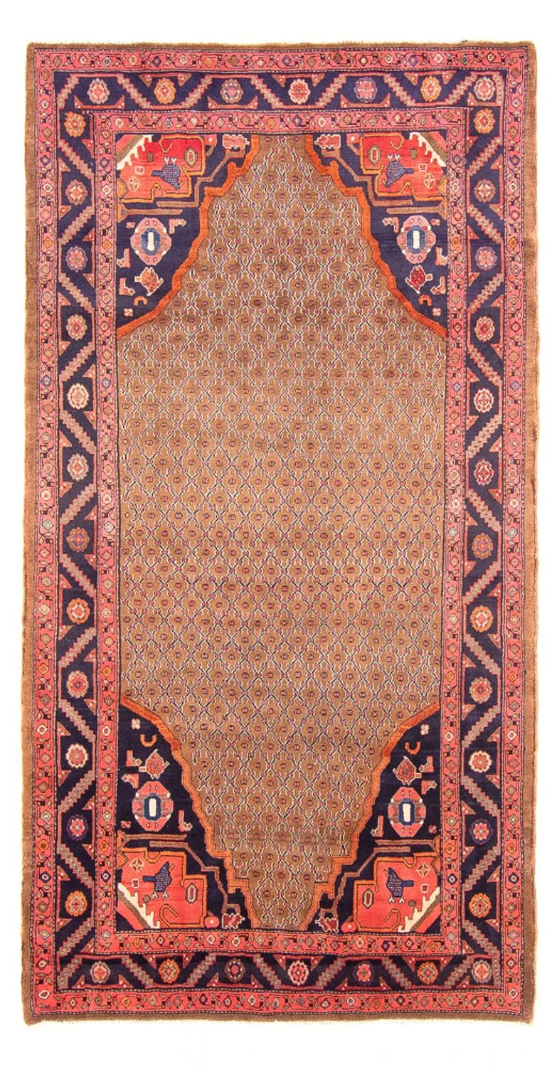 Kolyai Teppich 150x290cm - Perserteppich
