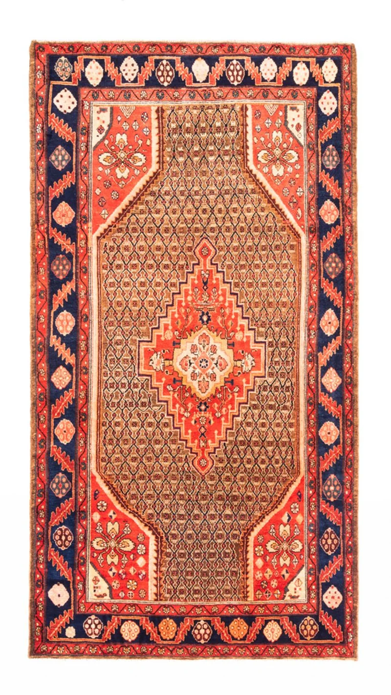 Kolyai Teppich 157x265cm - Perserteppich